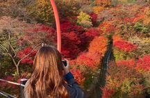 Hwadam Botanic Garden and Namhansanseong and Folk Village Trip