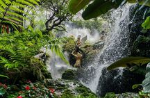 Chiang Mai to Chiang Rai Temples and Lalita Cafe Day Tour