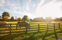 Nashville Private Tours