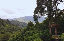 Chiang Mai Sky Hawk Zipline Adventure in the Jungle Canopy