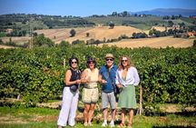 Umbria Wine Lovers: Montefalco & Bevagna with Winery Lunch