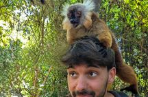 Lokobe Tour: Pirogue, Lemur Forest and Malagasy Lunch