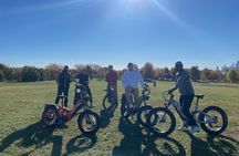 Electric Bike Tours in Lincoln Park