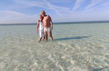 PRIVATE TOUR ! 4-Hours Swiming with dolphins, snorkeling, island by speed boat