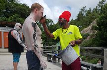 Land and Sea Tour St Lucia