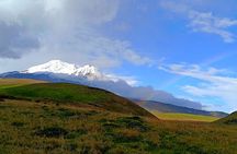 Antisana Condor Tour from Quito