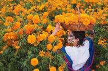 Private Cultural and Gastronomy Tour Full Day Tapatío