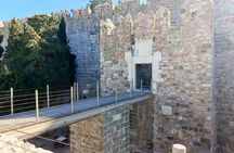 Family Package up to 15 bodrum city Tour for crusiers/port/hotels