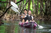 Ishigaki Mangrove Canoe or SUP & Taketomi Island Exploration