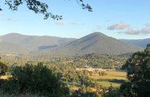 Yarra Valley by night! Private wine, whisky and dinner tour