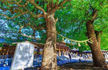 Tokyo Harajuku Meiji Jingu Shrine Shinto Culture Walking Tour