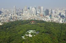 Tokyo Harajuku Meiji Jingu Shrine Shinto Culture Walking Tour