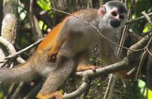 Manuel Antonio National Park Guided Tour