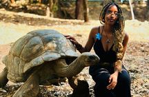 Experience Nakupenda Sandbank & Prison Island Tour