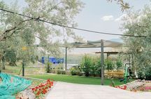 Olive Oil Tasting Tour with Corinth Canal Stop