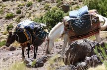  3-Day Berber Experience & Hiking in the High Atlas Mountains