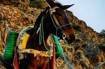  3-Day Berber Experience & Hiking in the High Atlas Mountains