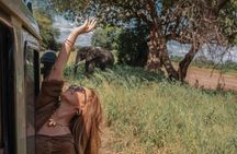 6-Day Tanzania Safari to Tarangire, Serengeti & Ngorongoro Crater