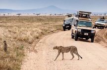 6-Day Tanzania Safari to Tarangire, Serengeti & Ngorongoro Crater