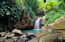 Best of Grenada: Waterfall, Grand Etang & Chocolate Half Day Tour