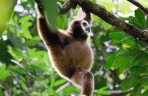 3 Days 2 Nights Ethical Jungle Trekking