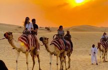 Doha ATV, Quad and Buggy Dune Bashing, Camel Ride, Sandboarding