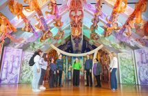 Museum of New Zealand Te Papa Tongarewa: Māori Highlights Tour
