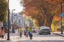 Seoul E-bike Tour