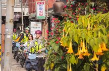Seoul E-bike Tour