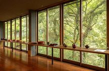 Private Tea Ceremony in a Samurai House near Kanazawa