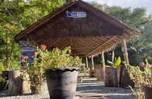 Phuket Guided Tour to Elephant Sanctuary with Hotel Transfers