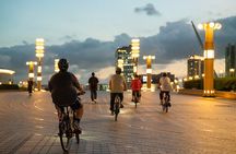 Tokyo Bay Area Sunset Night View 3h Guided Cycling Tour