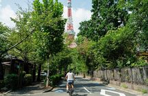 Tokyo Tower Area 3h Guided E bike Tour
