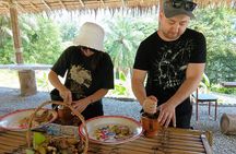 Elephant Sanctuary Small Group Tour in Phuket