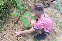 Elephant Sanctuary Small Group Tour in Phuket