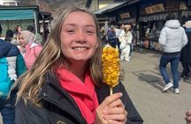 Mt Fuji, Hakone Private Tour by Car Pickup from Tokyo