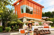 Small Group Tour for Jeju Autumn Snoopy Garden and Tangerine Cafe