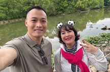 Private Chengdu Panda Base Tour with Hotel Pickup