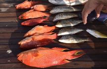  Fishing and Snorkelling by Speedboat Tour - Hurghada 