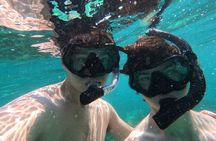 Snorkeling Escape to Daymaniyat Islands 5Hrs Tour from Muscat