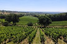 Gaillac Small Group Wine Tour from Toulouse