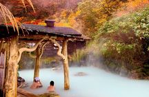 Group Day Tour to Fuji/Hakone - Onsen and Nature - From Tokyo