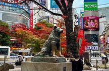 Get Unique Insights into Tokyo - Private Tour with local Guide