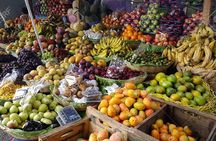 Short tour to San Jose Countryside From Quetzal Port.