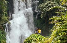 2-Hours Beginner Canyoning in North Bali (Pickup, GoPro, Lunch)