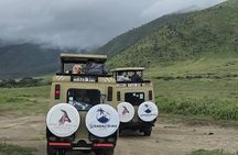 5 Day Migration Adventure From Ancient Baobabs to the Mara River