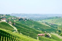 Small-Group Barolo Wine Tasting, Alba & UNESCO Piedmont Hills