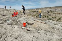 Guided Rock Collecting Adventure with a Geologist