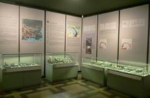 Sofia Archaeology and History Museum Guided Tour