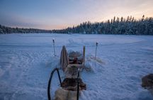 Private Guide Tour to Ranua with Sauna and Swimming